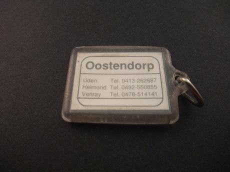 Toyota autodealer Oostendorp Uden-Helmond-Venray (2)